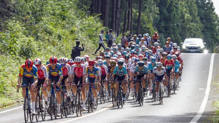 Pelotón de ciclistas profesionales rodando junto en una carrera en carretera